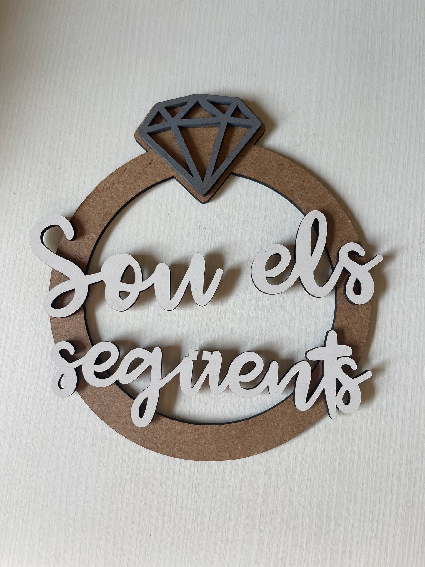 Placa soys los siguientes